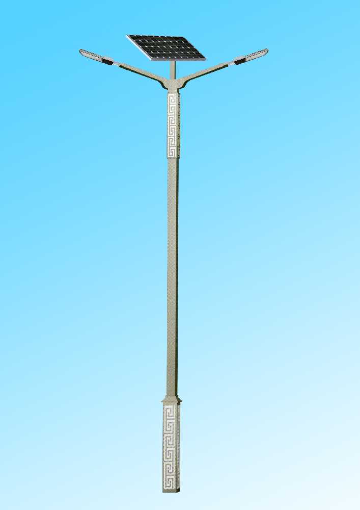 六枝特区市政道路太阳能路灯